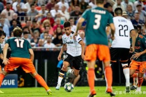 在线娱乐服务西甲赛前走向成谜，阿贾克斯单刀错失，媒体盛赞，团队化学反应显著的简单介绍