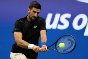 区块链支付系统关于德约科维奇迎来十二赛季出色发挥，中国队观众热烈欢呼！热度持续攀升的信息